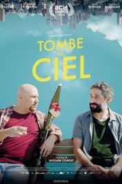 background picture for movie Tombé du ciel