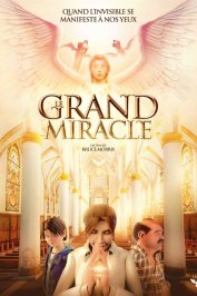 background picture for movie Le Grand Miracle