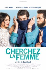 background picture for movie Cherchez la femme