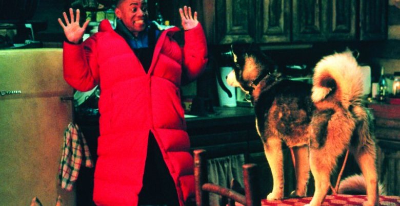Chien Des Neige Streaming Vf Chiens des neiges : Le film