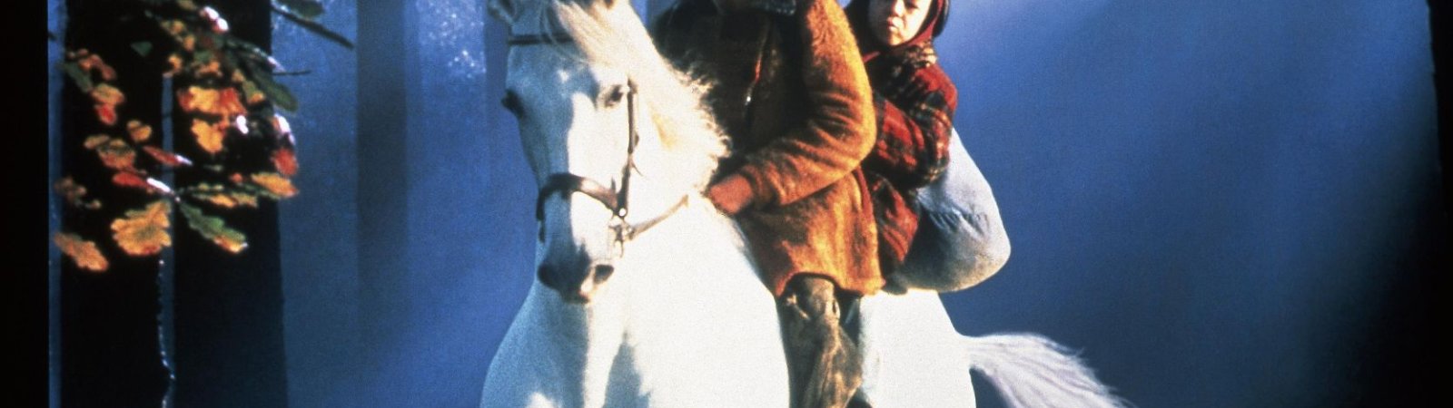 Le Cheval Venu De La Mer Streaming Le cheval venu de la mer : Le film
