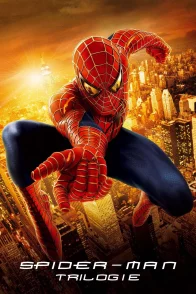 Affiche de la saga : Spider-Man - Saga
