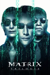 Affiche de la saga : Matrix - Saga