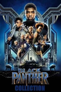 Affiche de la saga : Black Panther - Saga