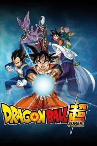 Affiche de la saga : Dragon Ball Super - Saga