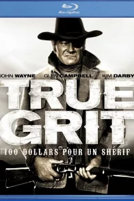 Affiche du film : Cent dollars pour un sherif