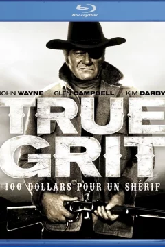 Affiche du film = Cent dollars pour un sherif