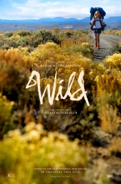 Affiche du film : Wild