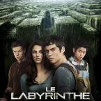 Photo du film : Le Labyrinthe