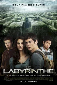 Affiche du film : Le Labyrinthe