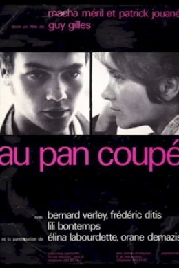 Affiche du film Au pan coupé