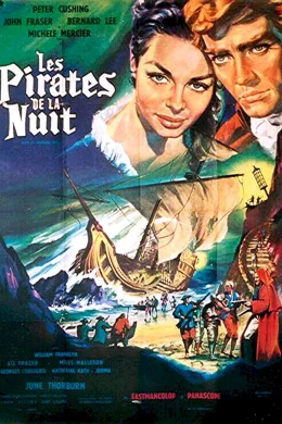 Affiche du film Les pirates de la nuit