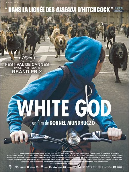 Photo du film : White God