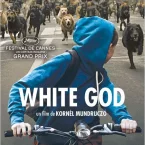 Photo du film : White God