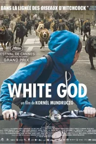 Affiche du film : White God
