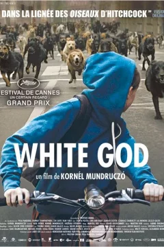 Affiche du film = White God