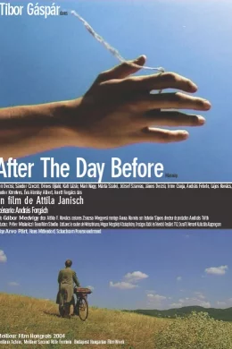 Affiche du film After day the before