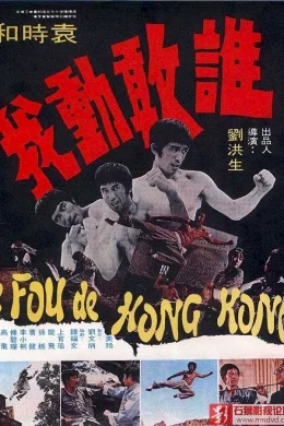 Affiche du film Le fou de hong kong