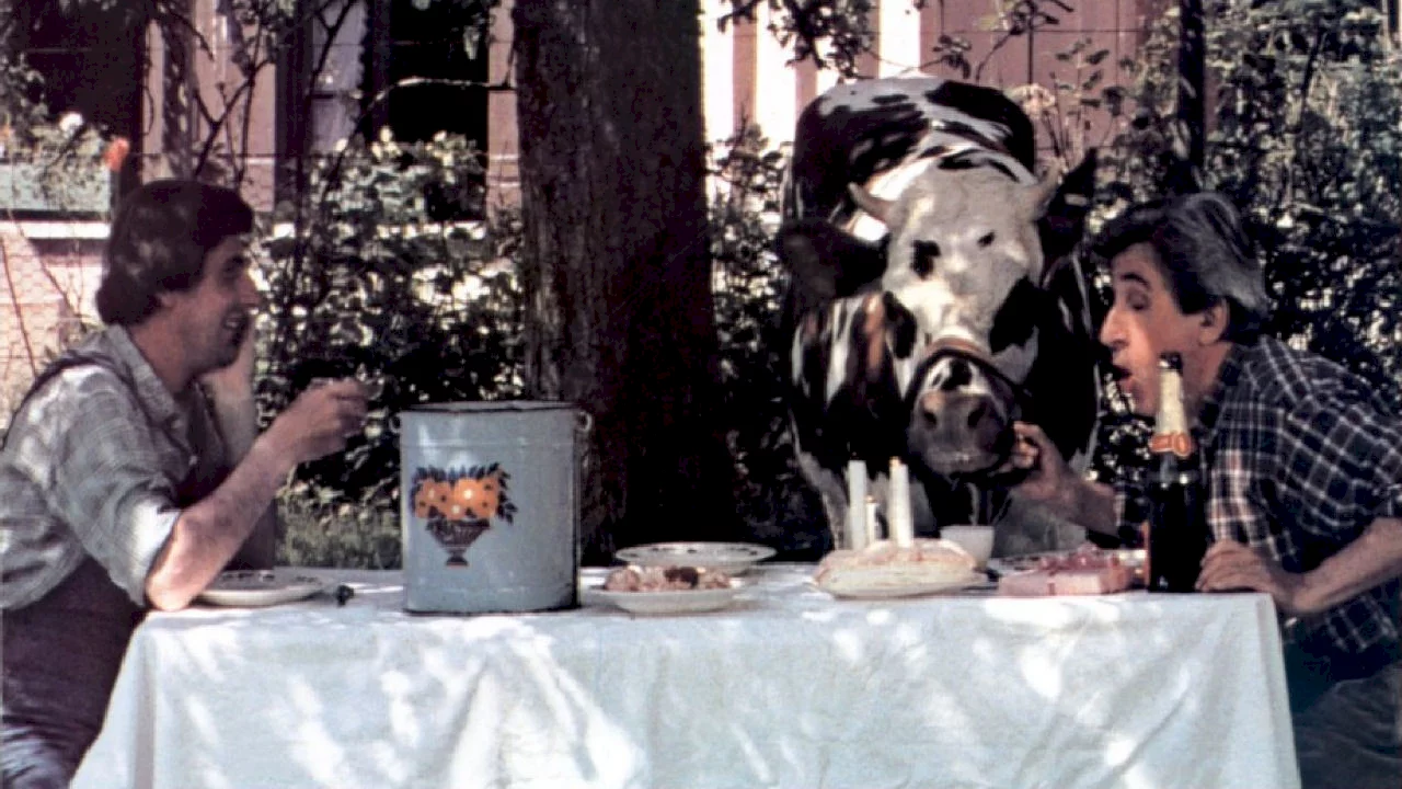 Photo 2 du film : Tendrement vache