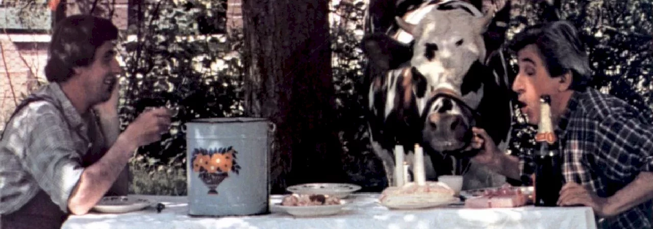 Photo du film : Tendrement vache