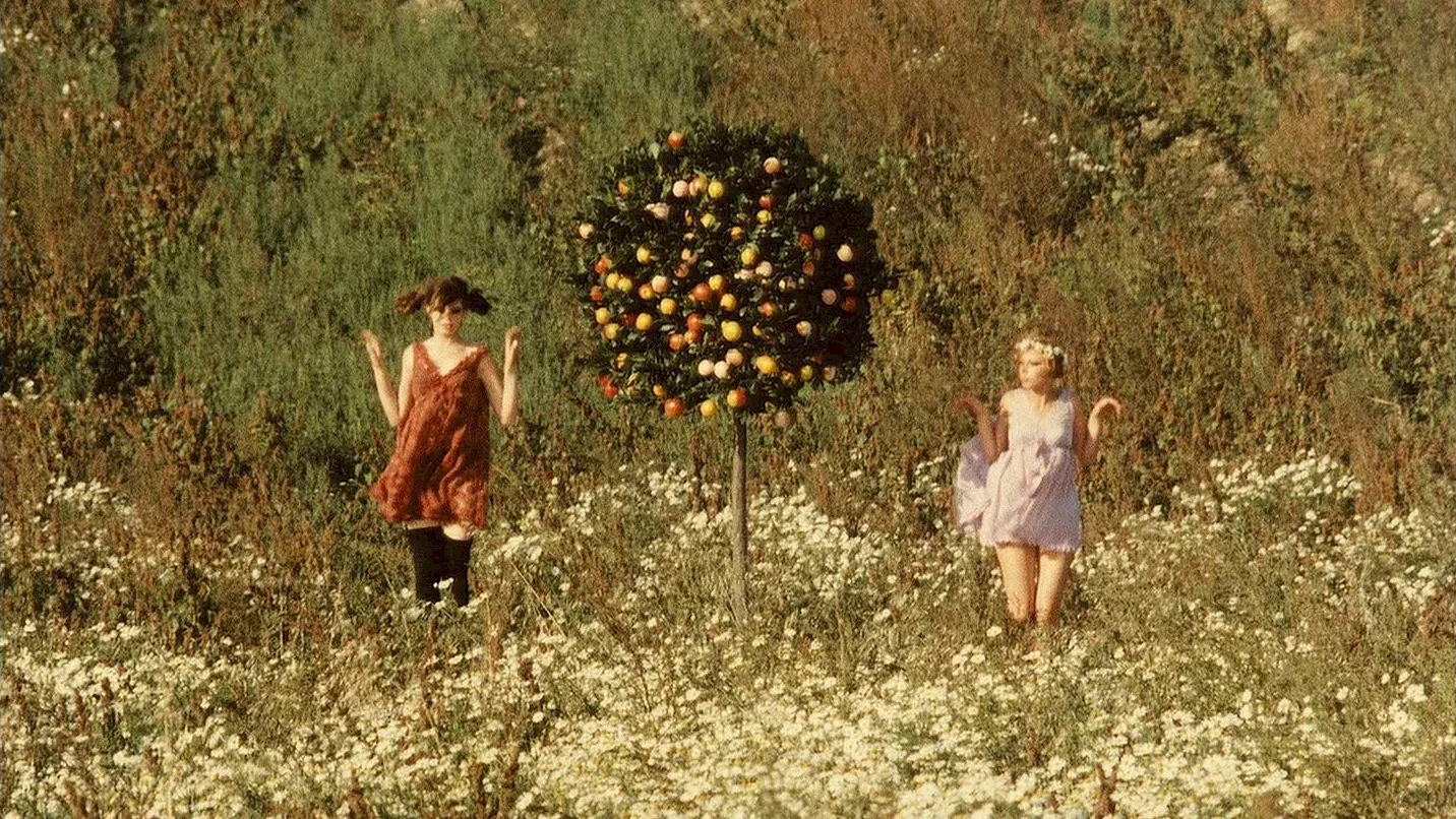 Photo du film : Les petites marguerites
