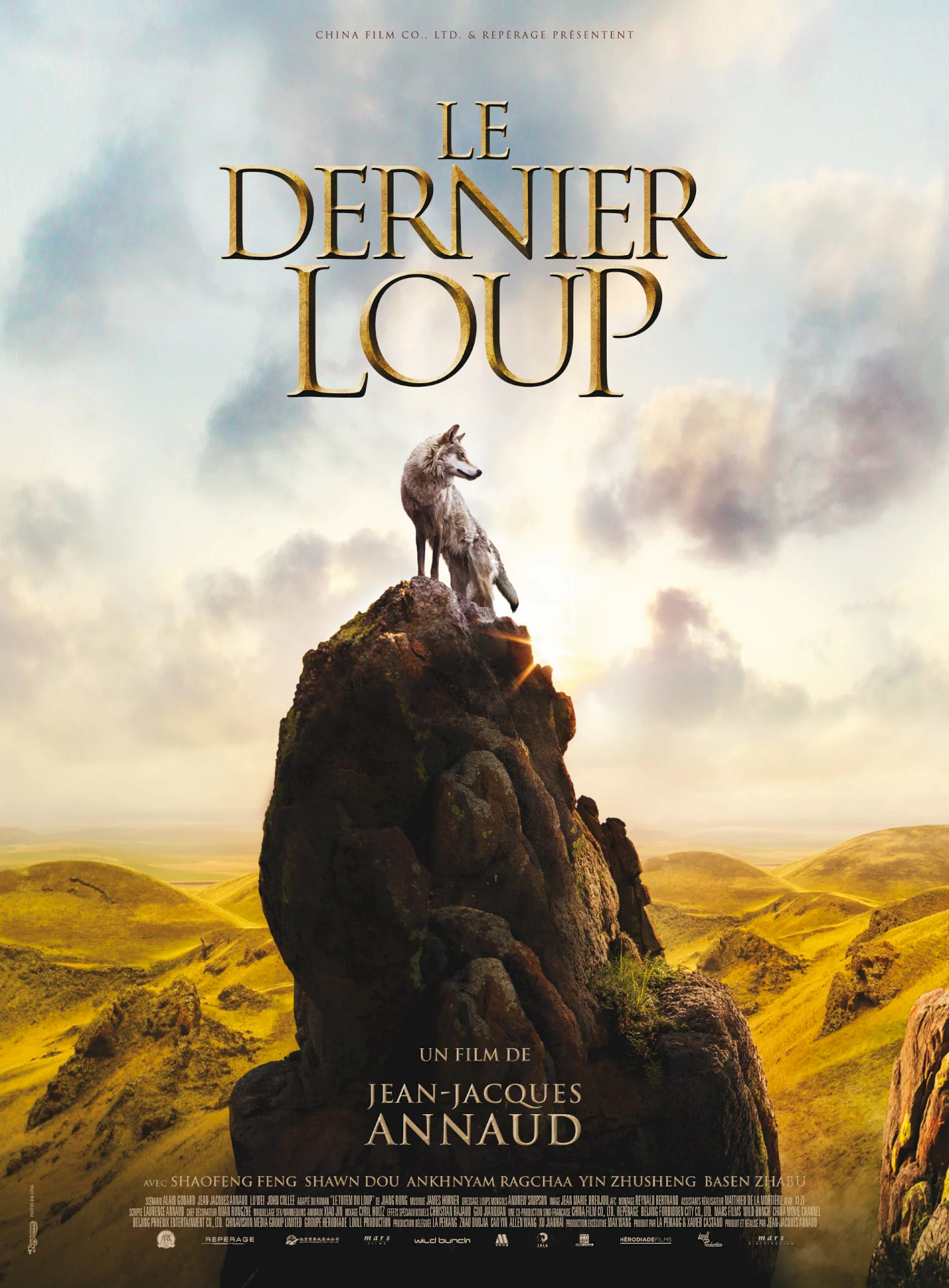 Photo 1 du film : Le Dernier Loup
