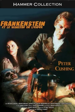 Affiche du film = Frankenstein et le monstre de l'enfe