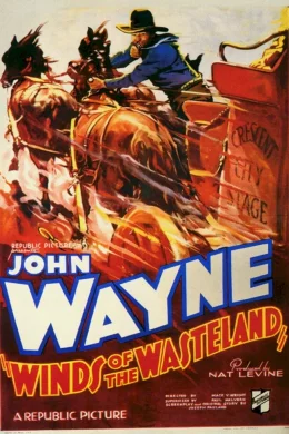 Affiche du film Wind of the wasteland