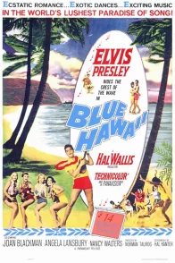 Affiche du film : Sous le ciel bleu d'Hawaï
