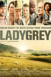 Affiche du film : Ladygrey