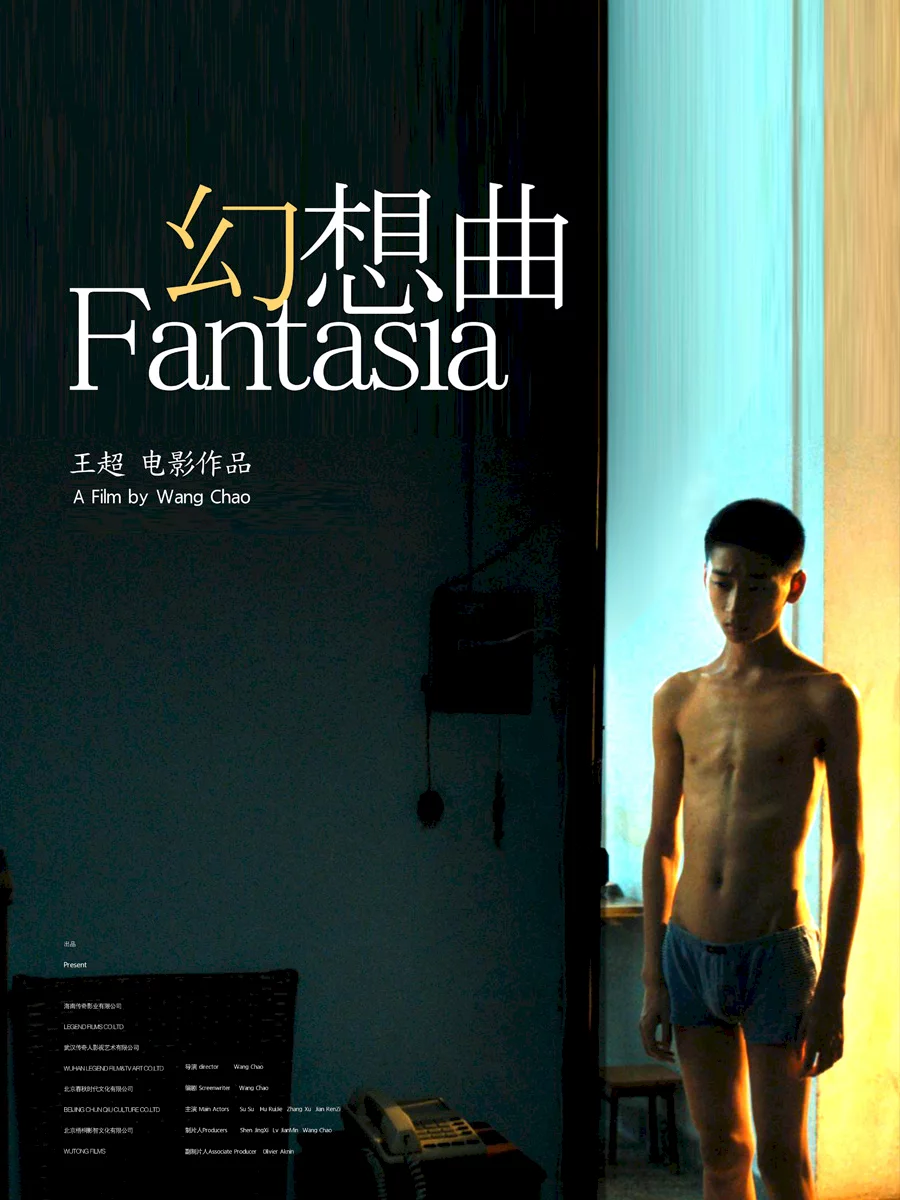 Photo 1 du film : Fantasia