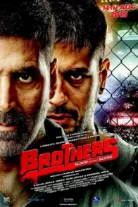 Affiche du film : Brothers