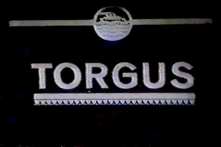 Photo 1 du film : Torgus