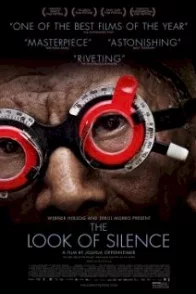 Affiche du film : The Look of silence