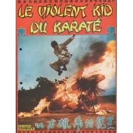 Photo du film : Le violent kid du karate