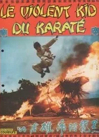 Affiche du film : Le violent kid du karate