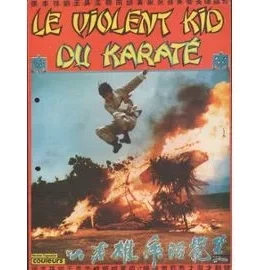 Affiche du film Le violent kid du karate