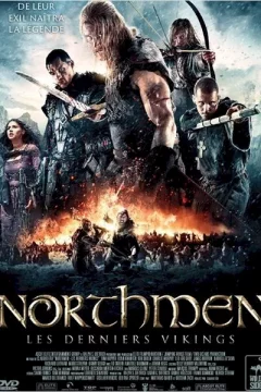 Affiche du film = Northmen : Les Derniers Vikings