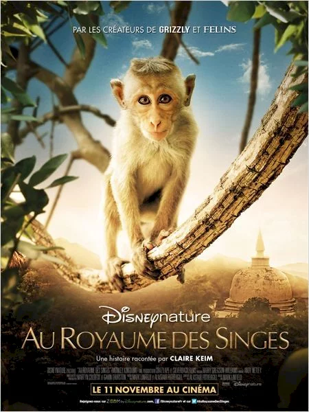 Photo du film : Au royaume des singes