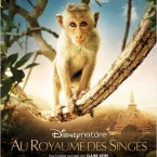 Photo du film : Au royaume des singes
