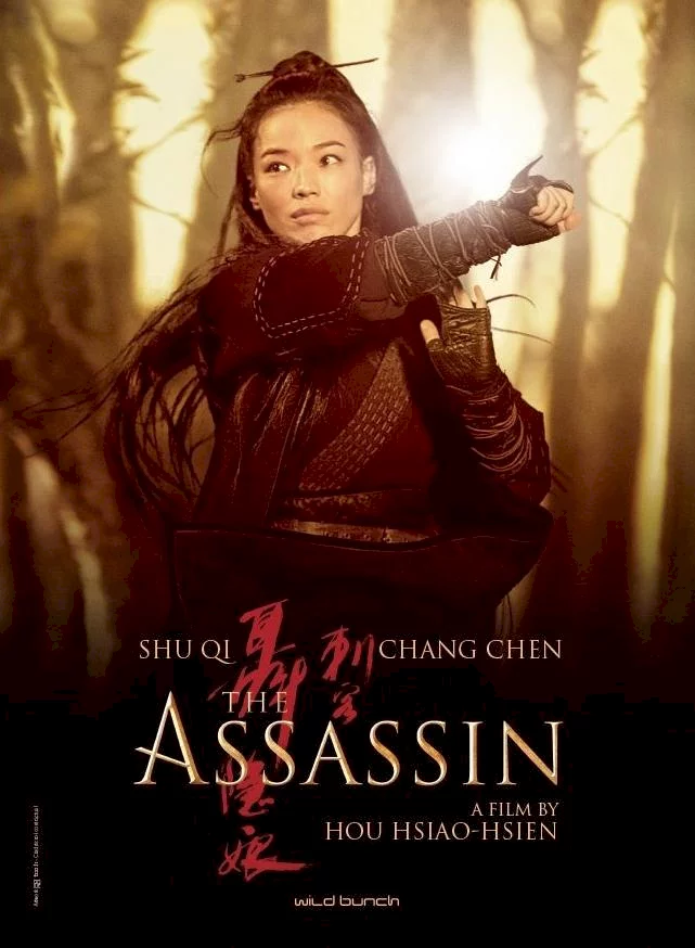 Photo du film : The Assassin