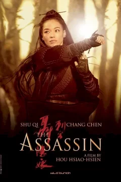 Affiche du film = The Assassin