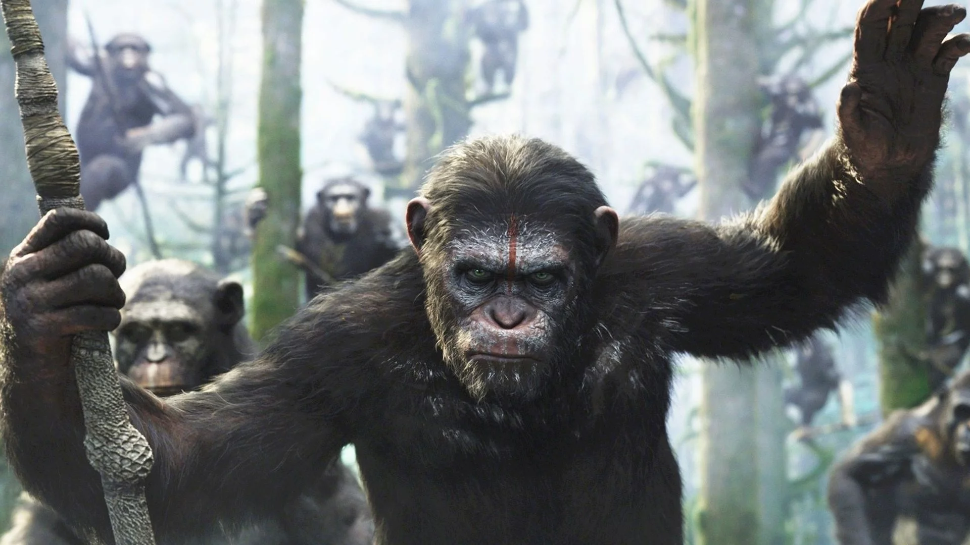 Photo 18 du film : La planète des singes : l'affrontement