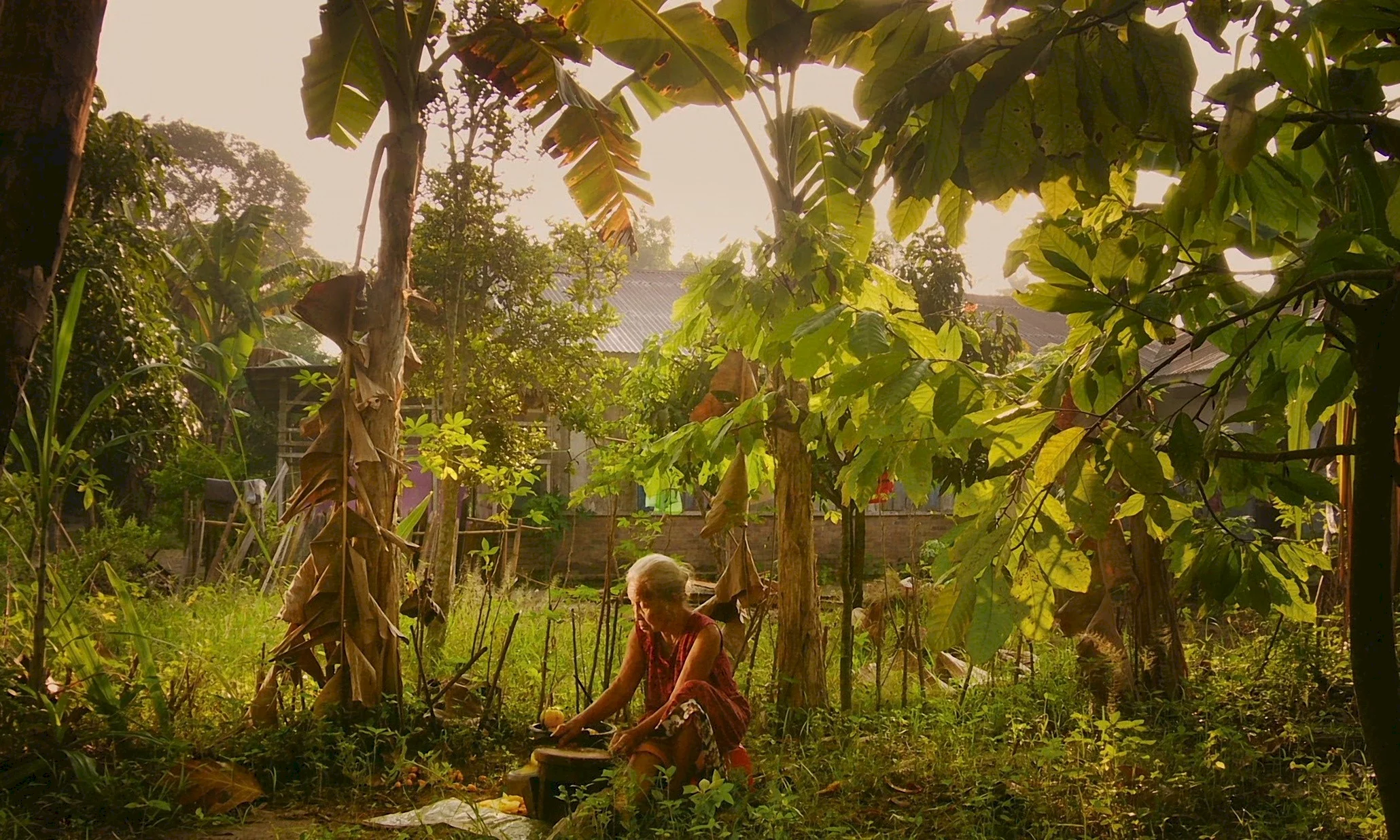 Photo du film : The Look of silence