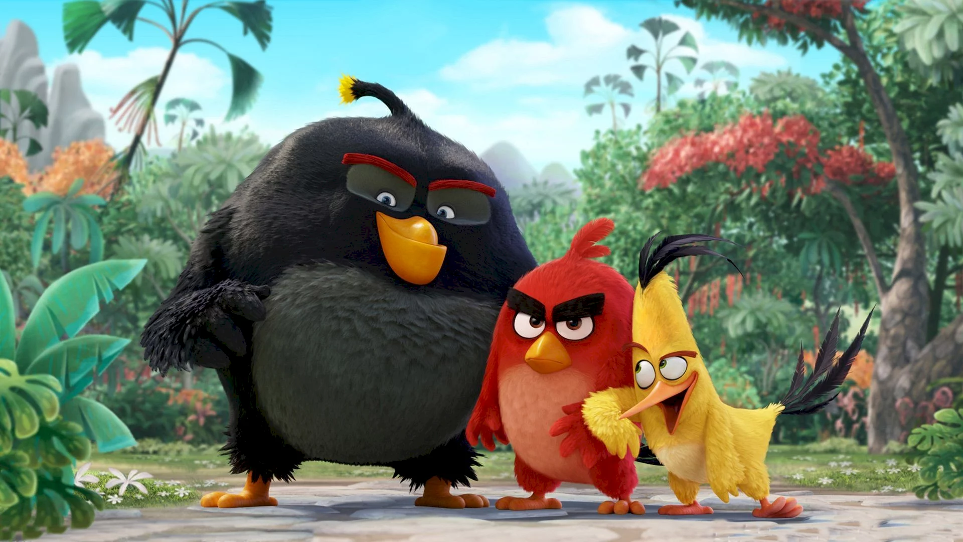 Photo 3 du film : Angry Birds - Le Film