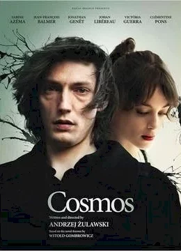 Affiche du film Cosmos