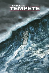 Affiche du film : En pleine tempête
