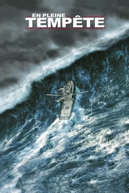 Affiche du film En pleine tempête