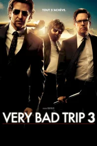 Affiche du film : Very Bad Trip 3