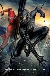Affiche du film : Spider-Man 3